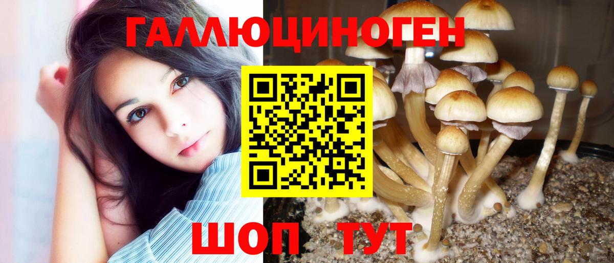 Светлоград  Псилоцибиновые грибы GOLDEN TEACHER  Галлюциногенные грибы Psilocybe  Вход с VPN 